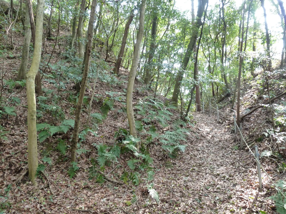 ko78044064's tweet photo. 采女城（うねめじょう）（北山城）
後藤氏、後藤釆女正藤勝
三重県四日市市（2024年） https://t.co/iykRvNkqIt