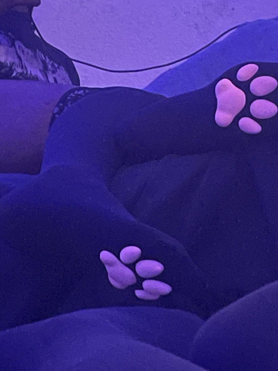 bispurr's tweet photo. high paw dude https://t.co/bPpbOD6X9N