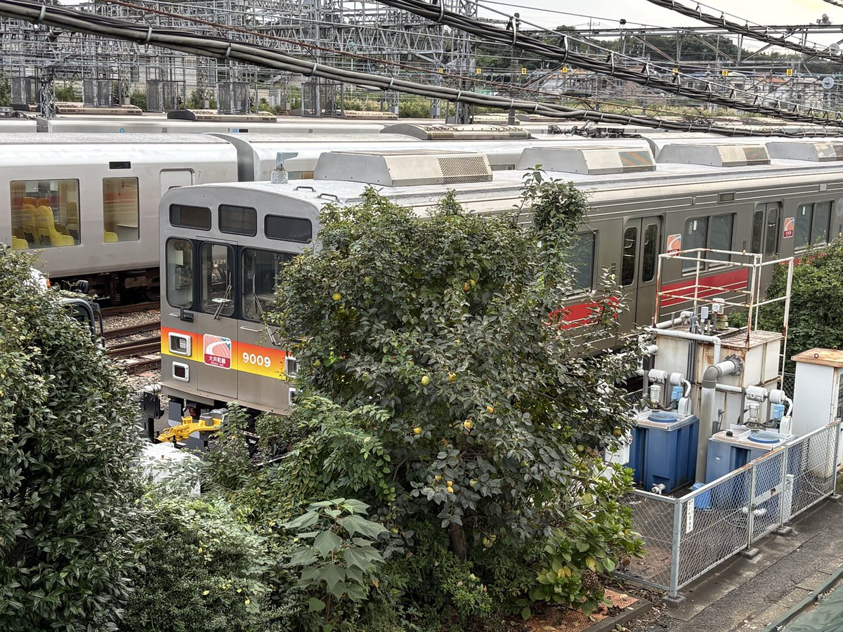 FlcK59167's tweet photo. 本日(2026/10/02)、東急9009F・9023Fが西武鉄道小手指車両基地までやってきました。
東急9023Fに関しては、東急9020系初の西武線譲渡となりました。
残念ながら時間の都合上、甲種輸送は撮れませんでした😭 https://t.co/nwTLRmYIbW