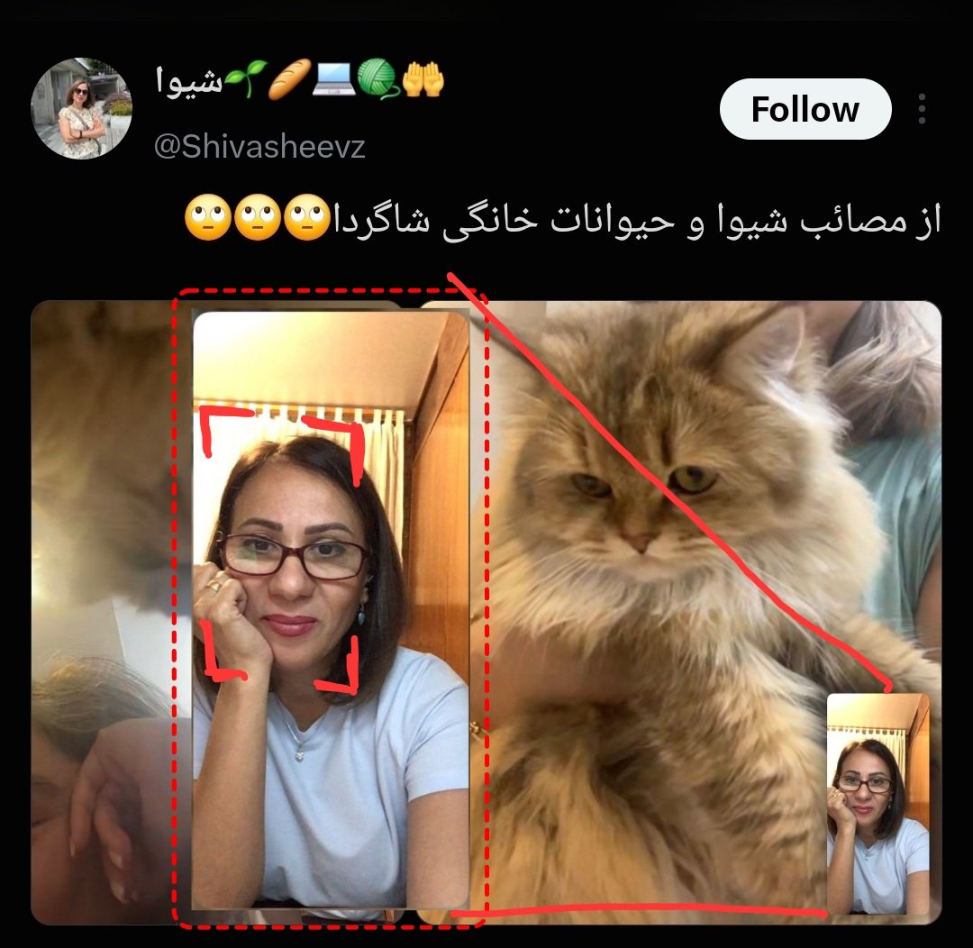 MattTheRat_'s tweet photo. دیدی چیکار کردی ؟ دست گذاشتی روی نقطه ضعفم... "جاویدنام".
تاکید میکنم، یکی از وظایف اصلی ما اینه که نذاریم امثال تو روی اعصاب روان خانواده های داغدار راه برن..
این که از کلمه جاویدنام کهیر میزنه و خواستار اعدام مخالفین رژیمه "شیوا مهشید فلاحی" مدرس و ساکن بریتیش کلمبیا کاناداست. https://t.co/uoWcC2XTwd