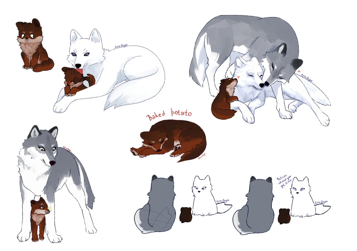 tomalorel's tweet photo. skz wolves I hope https://t.co/9Ily9hmg12