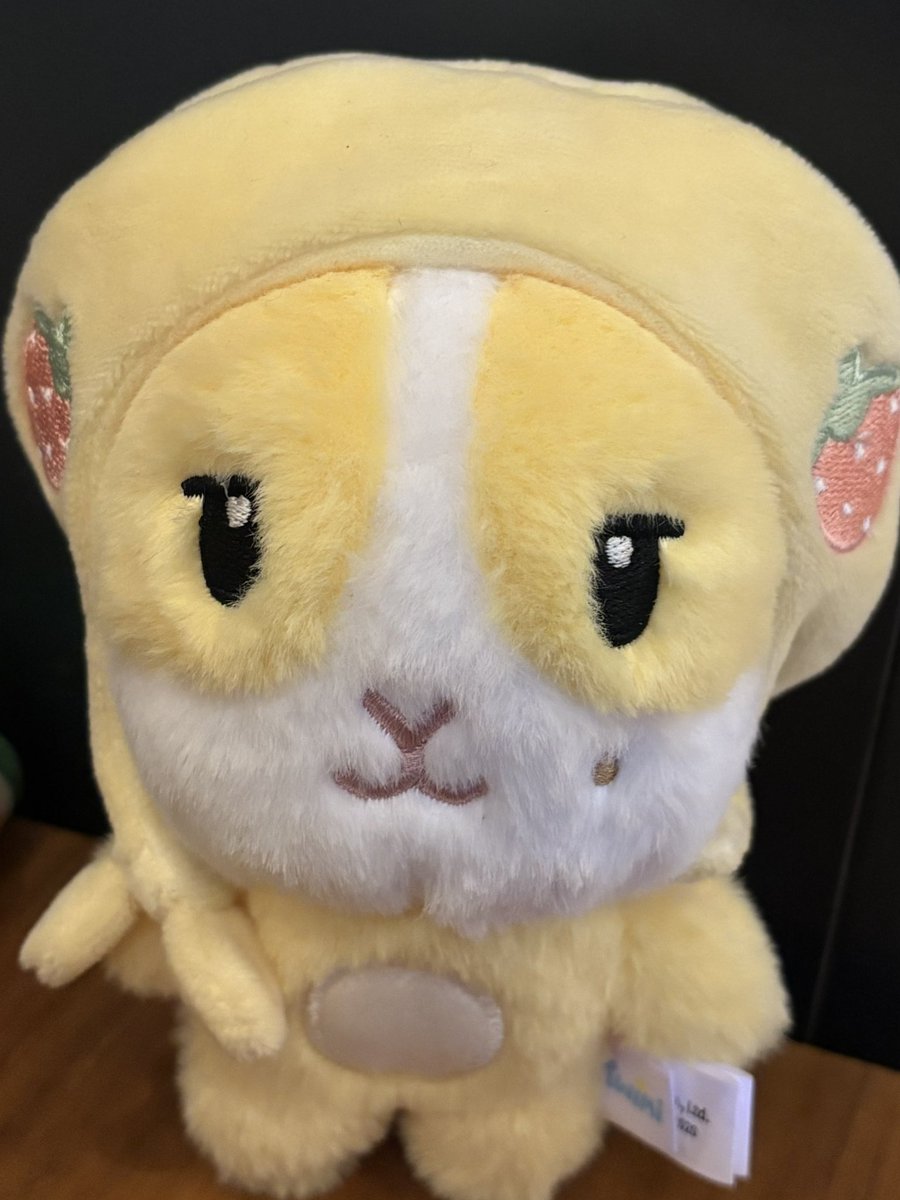 kyorikannara's tweet photo. https://t.co/Mex2JuxbkA