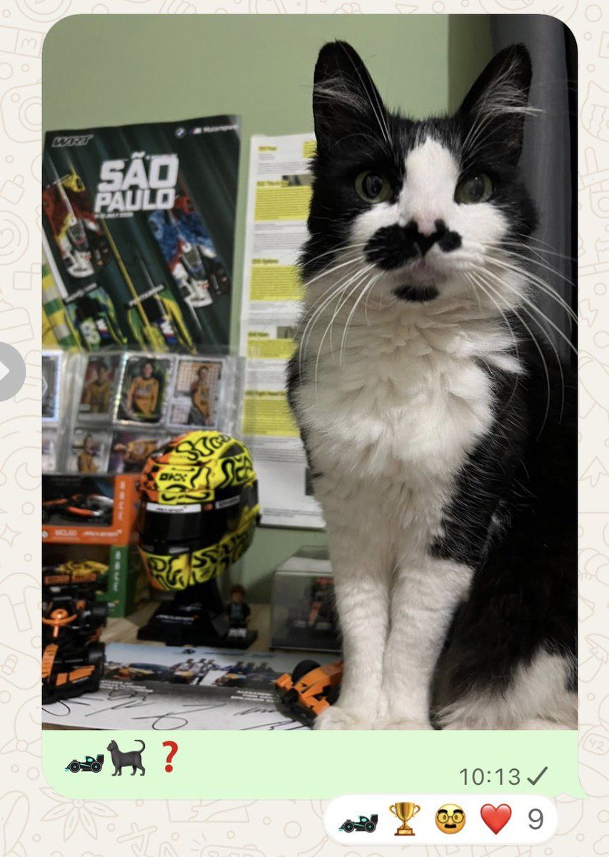 smtleticia's tweet photo. encantada com o grupo gatos em silêncio https://t.co/K8vZnszjpd