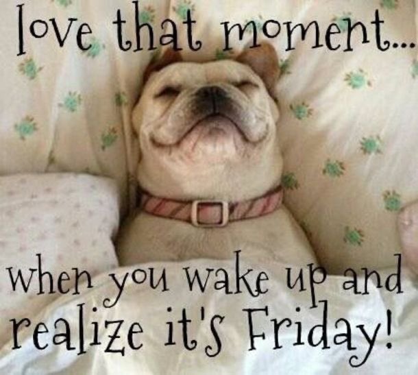 outcasthermit's tweet photo. good morning https://t.co/v44Qs3h7Zw