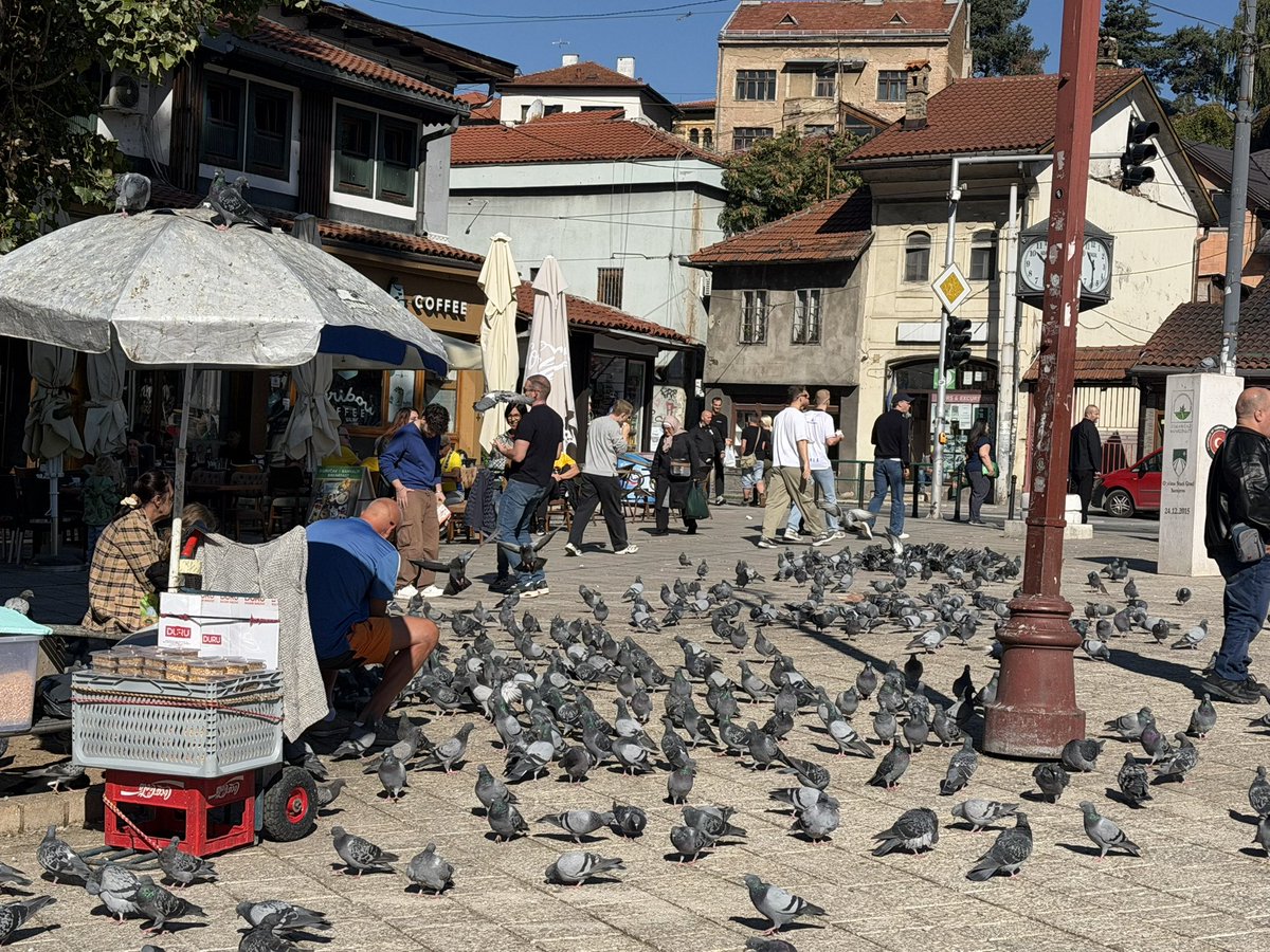 Seanovmo's tweet photo. The pigeons in the old city to the huge jerseys on the street. The autumn in Sarajevo is the smell of sunshine and fireworks ❤️ https://t.co/L4TYqzURzh