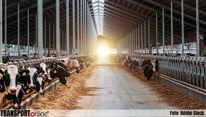 wereldnieuwsonl's tweet photo. Gegevens boerenbedrijven mogen ondanks protest openbaar worden

https://t.co/E659ccMuwq #boeren #boerenbedrijven #dieren #gegevens #MOB #stalgegevens https://t.co/Jc9eDJMiW2