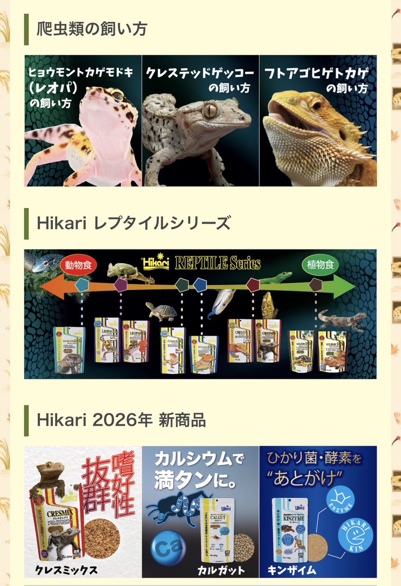 niirepjp's tweet photo. 新潟レプタイルズワールドのホームページにキョーリン様の爬虫類の飼い方を設置しました。トップページを下の方にスクロールして頂きバナーをクリックして下さいね♪

https://t.co/Vgms7f0MRQ

#ニイレプ　#新潟レプタイルズワールド　#新潟レプ　#爬虫類　#レオパ　#クレス　#越後　#爬虫類イベント https://t.co/KRL2IwYU7B