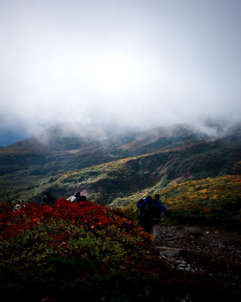 tanayan_is's tweet photo. 2026.10.02 栗駒山🍁
濃霧と強風でハード登山すぎたけど、ほんのわずかに見せてくれた神の絨毯、絶景！ https://t.co/HShurUw7WI