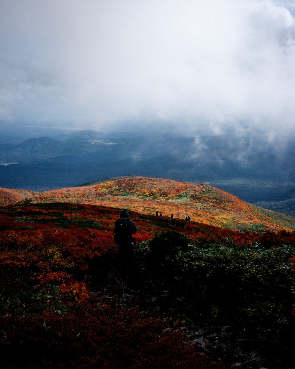 tanayan_is's tweet photo. 2026.10.02 栗駒山🍁
濃霧と強風でハード登山すぎたけど、ほんのわずかに見せてくれた神の絨毯、絶景！ https://t.co/HShurUw7WI