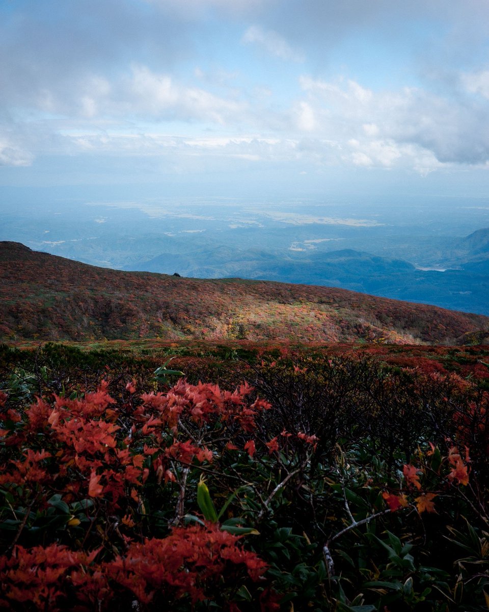 tanayan_is's tweet photo. 2026.10.02 栗駒山🍁
濃霧と強風でハード登山すぎたけど、ほんのわずかに見せてくれた神の絨毯、絶景！ https://t.co/HShurUw7WI