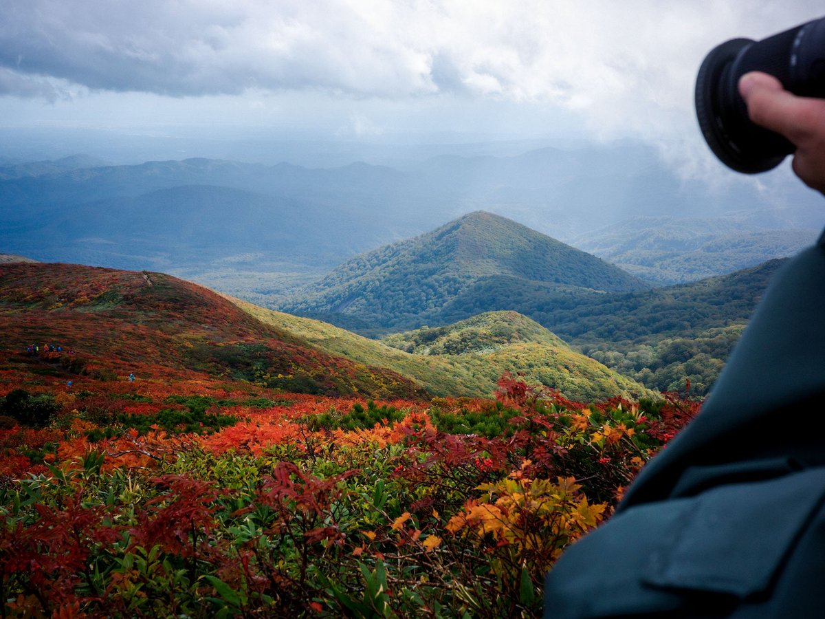 tanayan_is's tweet photo. 2026.10.02 栗駒山🍁
濃霧と強風でハード登山すぎたけど、ほんのわずかに見せてくれた神の絨毯、絶景！ https://t.co/HShurUw7WI