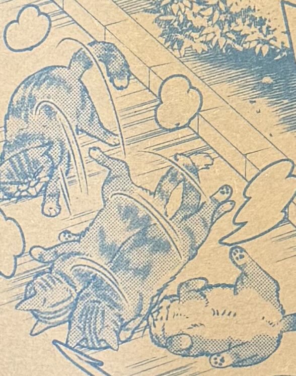 NekoHajimeta's tweet photo. ちゃお11月号本日発売です🎃
「ねこ、はじめました」は、猫の気配とたたかうニャオの話です？
よろしくお願いします！ https://t.co/wuKNVkwshS