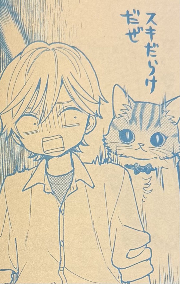 NekoHajimeta's tweet photo. ちゃお11月号本日発売です🎃
「ねこ、はじめました」は、猫の気配とたたかうニャオの話です？
よろしくお願いします！ https://t.co/wuKNVkwshS