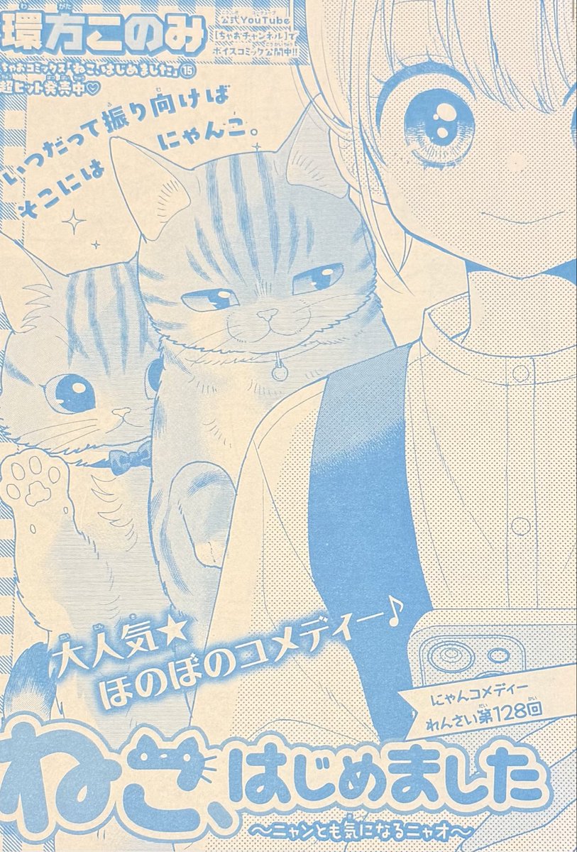 NekoHajimeta's tweet photo. ちゃお11月号本日発売です🎃
「ねこ、はじめました」は、猫の気配とたたかうニャオの話です？
よろしくお願いします！ https://t.co/wuKNVkwshS