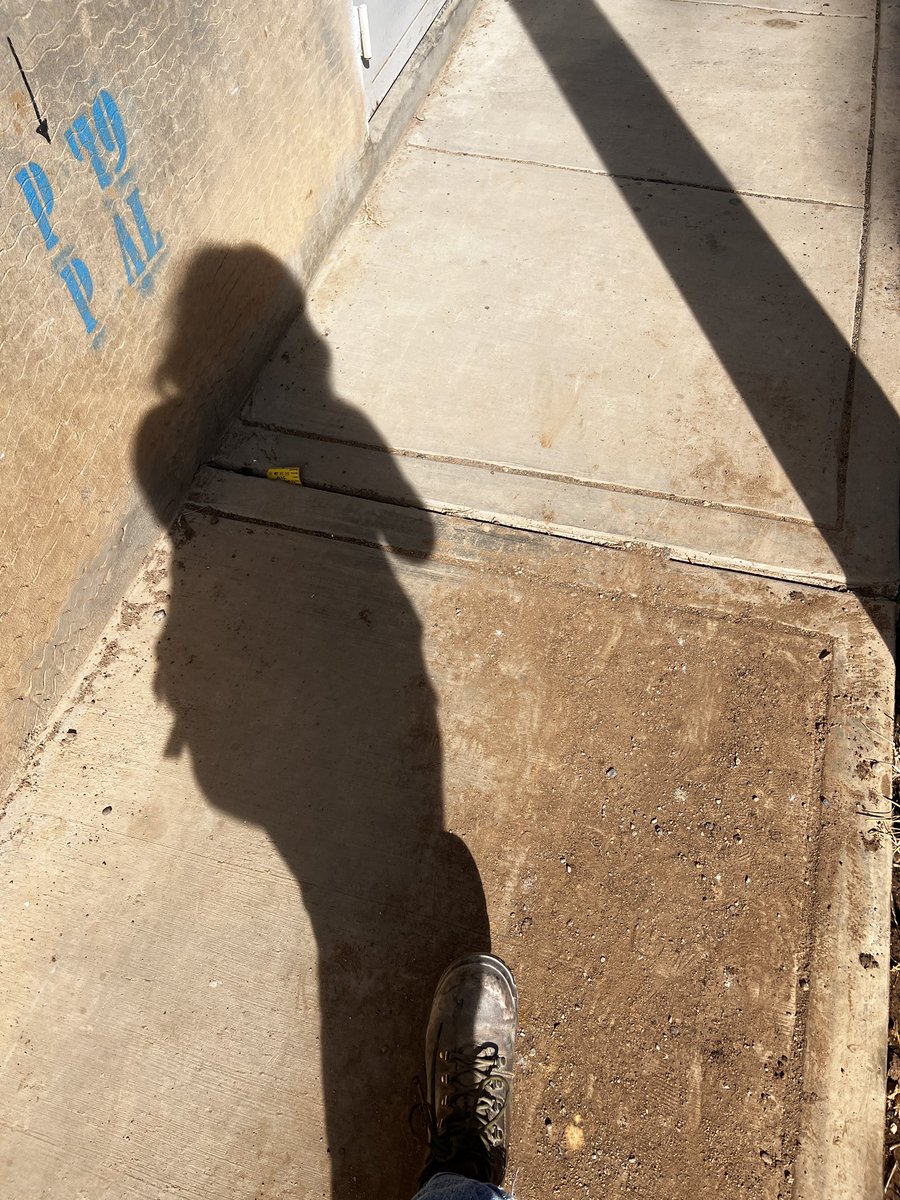 gabluza's tweet photo. Yendo a estas horas a obra
Despeinada 
Sin casco 
Sin chaleco

Agradezcan que voy https://t.co/pXgiUg18zr