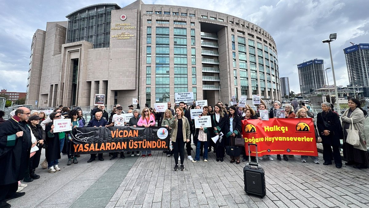 cumhuriyetgzt1's tweet photo. 🔴 Hayvan hakları savunucularından 'adalet' çağrısı: 75 imzayla Cenevre'ye başvuru!

Avukatın Sesi İnisiyatifi’nin çağrısıyla hayvanlara yönelik şiddet ve hayvan hakları ihlallerine karşı İstanbul Adliyesi önünde kitlesel basın açıklaması düzenlendi.

Açıklamada, 2024 yılında yapılan yasal düzenlemenin ardından farklı kentlerde yaşandığı belirtilen hayvan ölümleri ve barınaklardaki uygulamalara ilişkin soruşturmaların sonuçsuz kaldığı savunuldu.
https://t.co/AnY2QGG4Ur