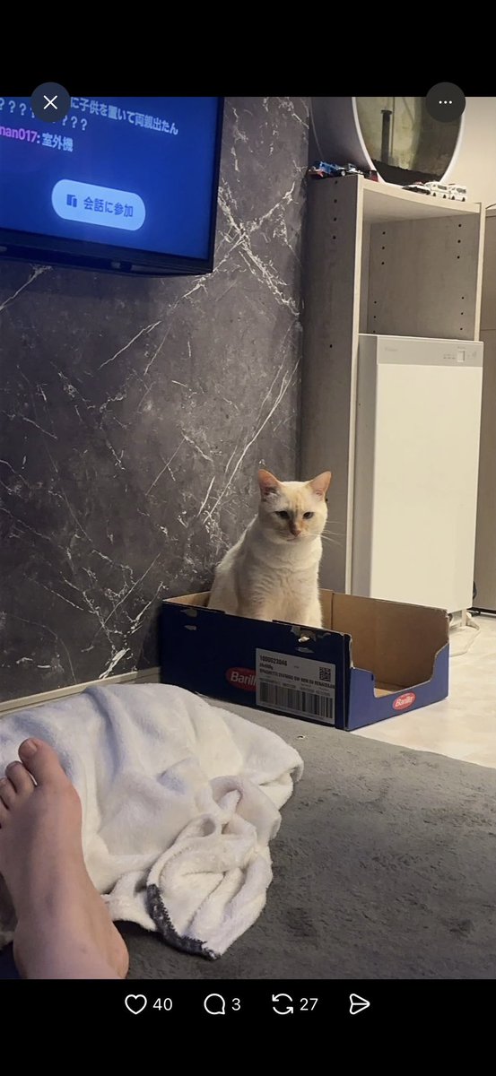 miiiii_ann_'s tweet photo. 10月1日〜2日にかけて飼い猫が脱走してしまいました。

・白と薄茶のシャム系
・オス 去勢済み
・6歳

場所は 群馬県太田市新田村田町 です。

とても人懐っこいです。
外で呼びかけてみましたが鳴き声や姿はまだ一度も確認出来ていません。
保護している方、見かけた方などいましたらコメントください https://t.co/EjdoUzJjuH