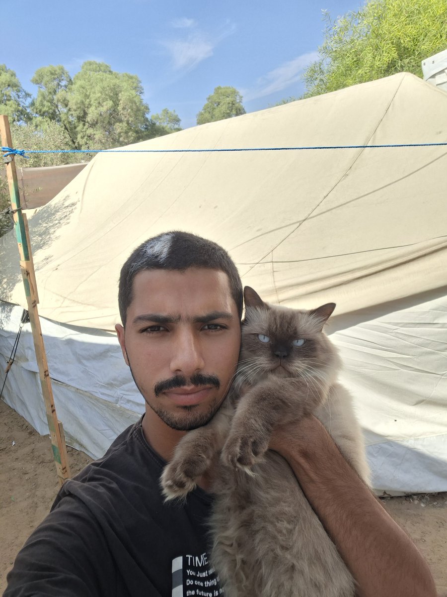 MustafaAmeen30's tweet photo. My cat Misho and I survived.🇵🇸

In just 3 days, we will have spent 3 years trying to survive this war.

Please pray for us to stay safe and well. 🙏🏼 https://t.co/gN0Ea6nmrK