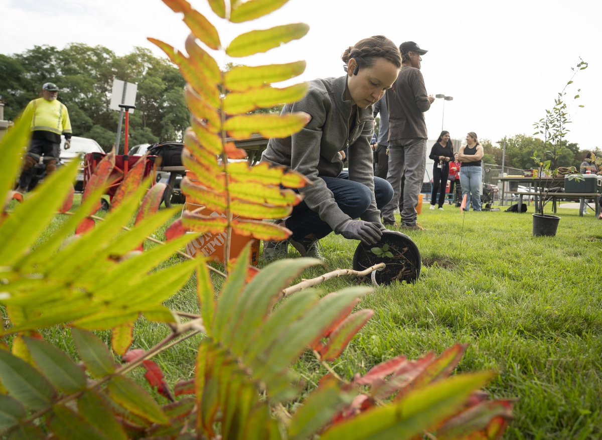 UnityHealthTO's tweet photo. Recently, staff, volunteers &amp; partners gathered at Providence Healthcare to plant 125 trees, helping expand the local tree canopy and creating a greener space for the community we serve. Thanks to everyone who rolled up their sleeves to help make the day a success. ☀️🌳 https://t.co/UXiHDX1JuM
