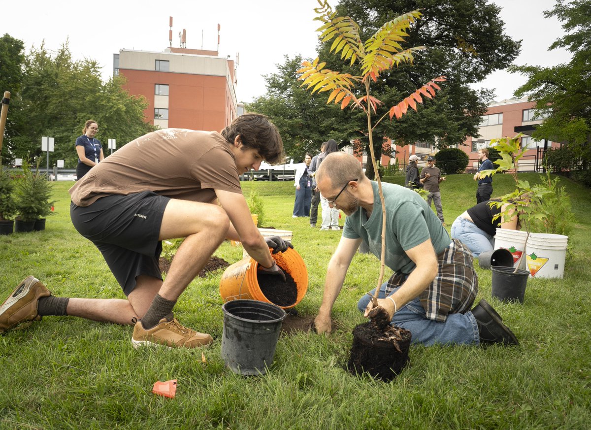 UnityHealthTO's tweet photo. Recently, staff, volunteers &amp; partners gathered at Providence Healthcare to plant 125 trees, helping expand the local tree canopy and creating a greener space for the community we serve. Thanks to everyone who rolled up their sleeves to help make the day a success. ☀️🌳 https://t.co/UXiHDX1JuM