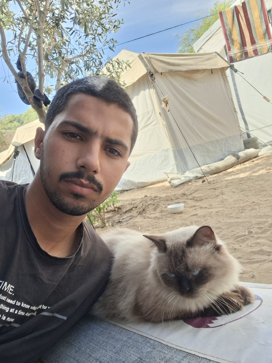 MustafaAmeen30's tweet photo. My cat Misho and I survived.🇵🇸

In just 3 days, we will have spent 3 years trying to survive this war.

Please pray for us to stay safe and well. 🙏🏼 https://t.co/gN0Ea6nmrK