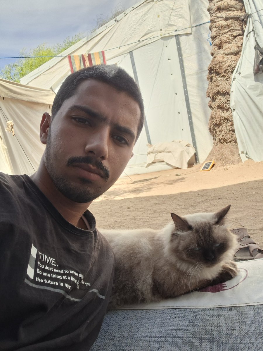 MustafaAmeen30's tweet photo. My cat Misho and I survived.🇵🇸

In just 3 days, we will have spent 3 years trying to survive this war.

Please pray for us to stay safe and well. 🙏🏼 https://t.co/gN0Ea6nmrK