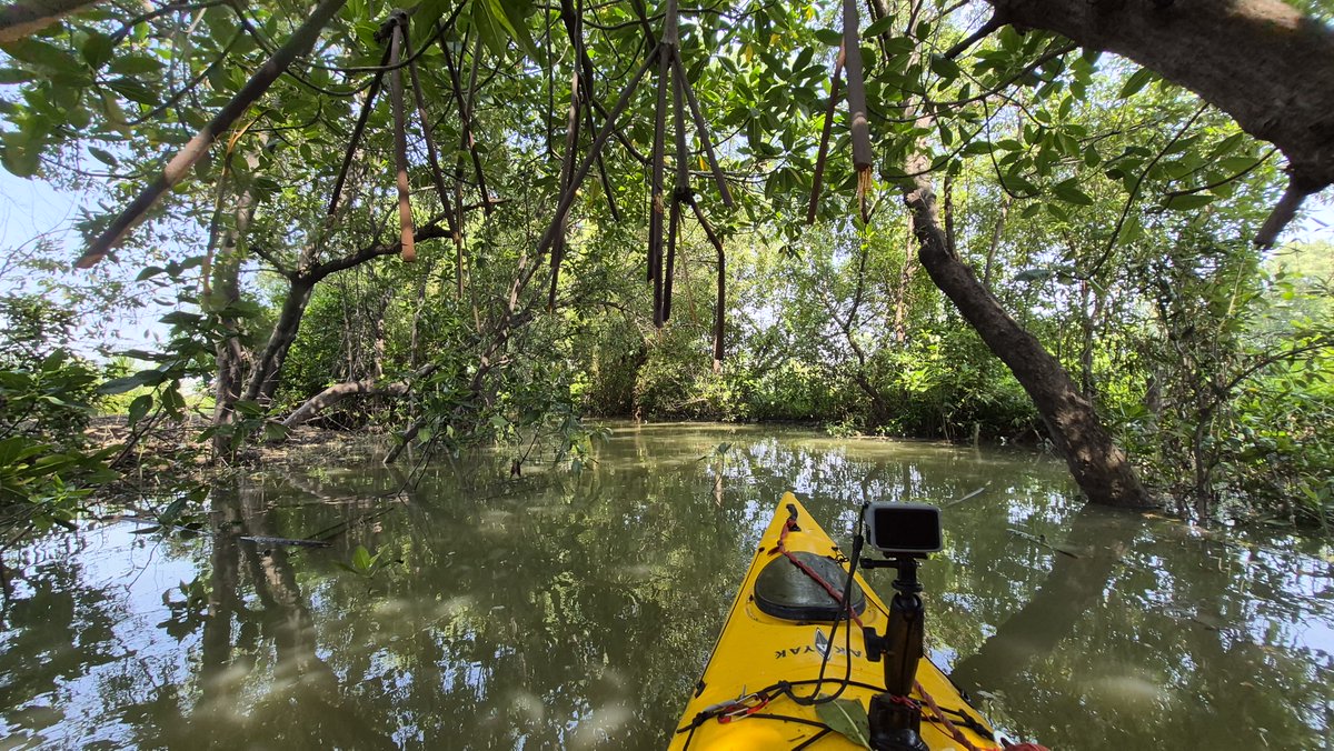 misterkwai's tweet photo. Thanks to my #machete one can now paddle through Khlong Don Tawan (well, as long as the water level is high enough)! Yay! https://t.co/DNMU68bRqR