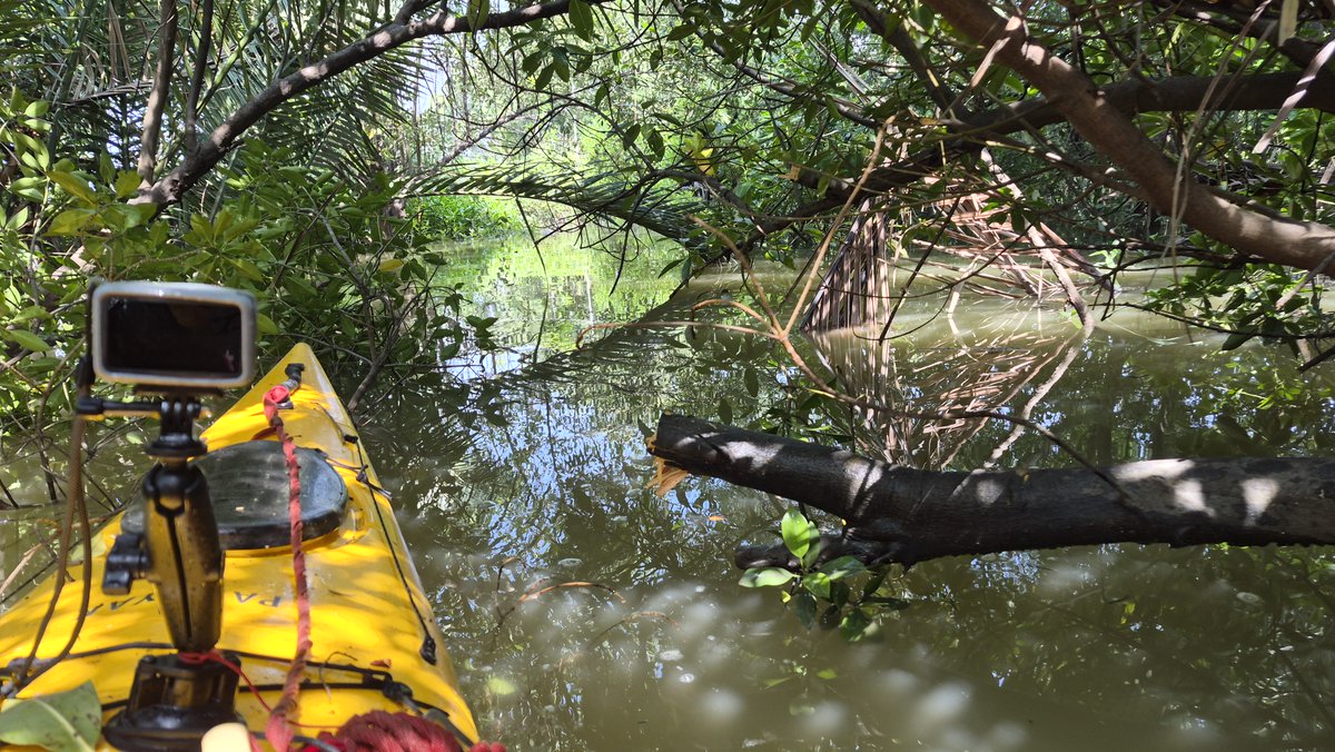 misterkwai's tweet photo. Thanks to my #machete one can now paddle through Khlong Don Tawan (well, as long as the water level is high enough)! Yay! https://t.co/DNMU68bRqR