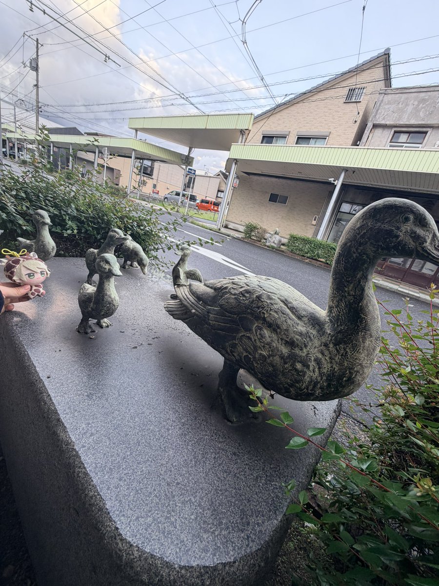 ss_mms15's tweet photo. いっしょにいこーね https://t.co/y3uRRGviGY