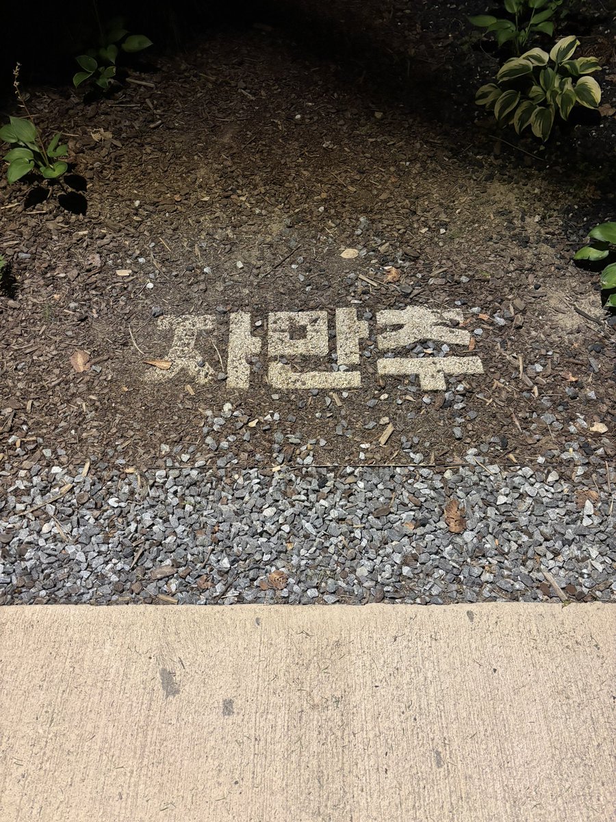 aslxcn's tweet photo. 얘들아 서울숲가서 마싯는거먹고 영화보는 가을보내 https://t.co/rl2px3KJd3
