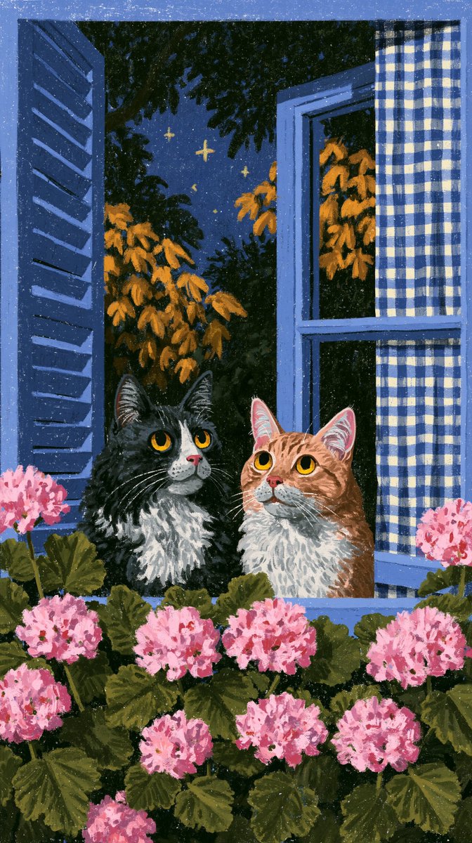 AiMeowing's tweet photo. https://t.co/mkwUcbev9R