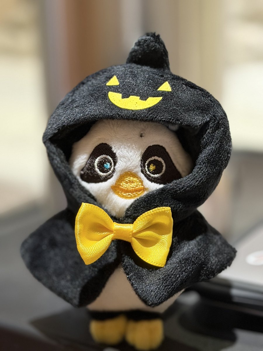 Kinopiyo_lunar's tweet photo. แฟนซื้อชุดให้ลูน่า ใส่ได้แค่ตัวจิ๋ว555 รับฮาโลวีน

#Lunar https://t.co/rAlWVf75A0