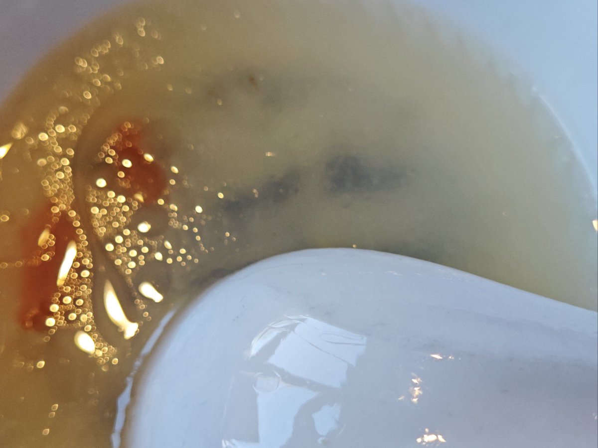 RinoKur45137547's tweet photo. I found a fermented sauce leaking from a shrimp in Zhangzhou! ， https://t.co/r4XqlmFX7V
