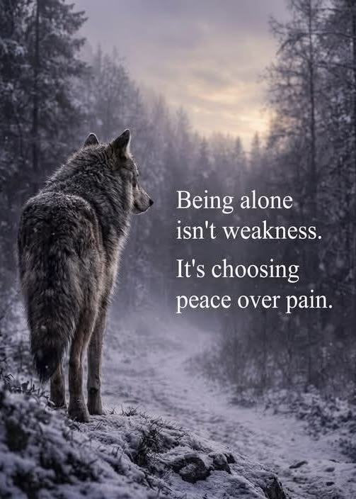 wolf_lovers__'s tweet photo. https://t.co/TM9HUOtlg0