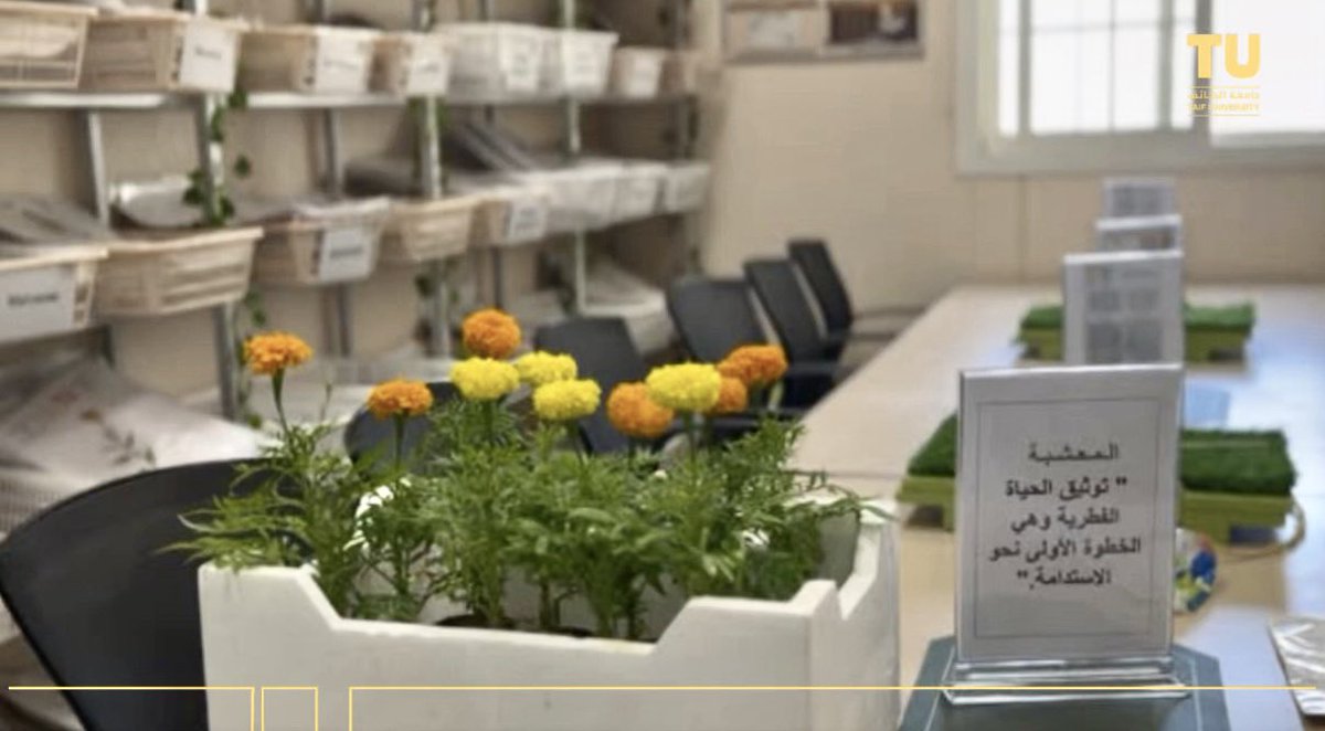 TUmoments's tweet photo. أقامت #جامعة_الطائف ممثلةً بوحدة التطوع والخدمة المجتمعية بكلية العلوم ، بالشراكة مع إدارة الأنشطة بإدارة التعليم بالطائف مبادرة وطنية بعنوان :
يوم وطننا.. نصنع أثراً بالتطوع"
بمشاركة مشرفات وطالبات المدارس وشهدت المبادرة تفاعلاً مميزاً وأسهمت في تعزيز قيم المواطنة والعمل التطوعي والمسؤولية المجتمعية وترسيخ ثقافة العطاء وخدمة المجتمع ، بما يعكس أهمية الشراكة والتكامل بين جامعة الطائف وإدارة التعليم بالطائف في تنفيذ المبادرات الوطنية الهادفة وصناعة أثر مستدام.