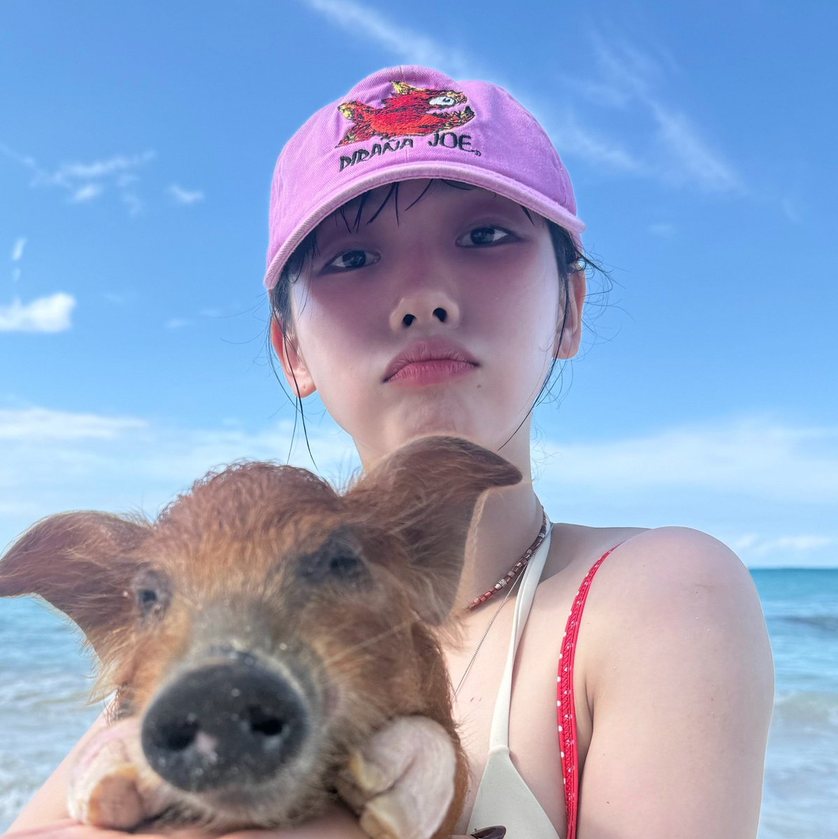 anirakbluu's tweet photo. 됮 https://t.co/BCMCQapWyg
