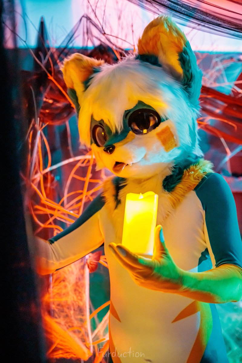BothFelixfox's tweet photo. Itโs Halloween month. Time to go into my dungeon to find all stashed spooky props! ๐ฆ๐๐ป
๐: @PETSUITFORFUN
๐ธ: @Mitailsu
#FursuitFriday #Halloween #petsuit #felixfox https://t.co/8CDU7buJ4j
