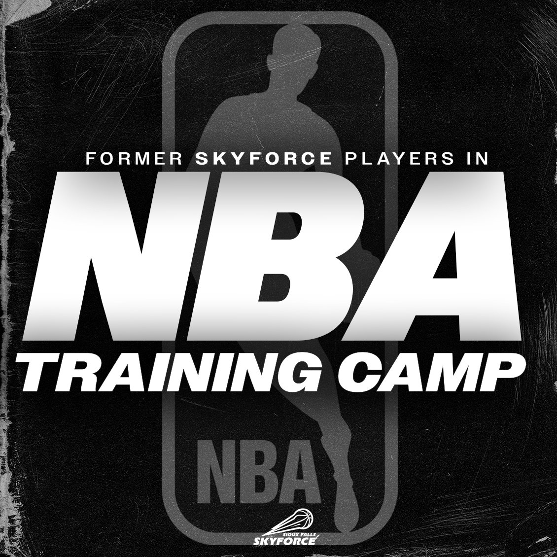 SFSkyforce's tweet photo. NBA Training Camp is underway 🏀

2⃣4⃣ #FORCEAlum are chasing their next opportunity. https://t.co/qdQ5OhXkzz