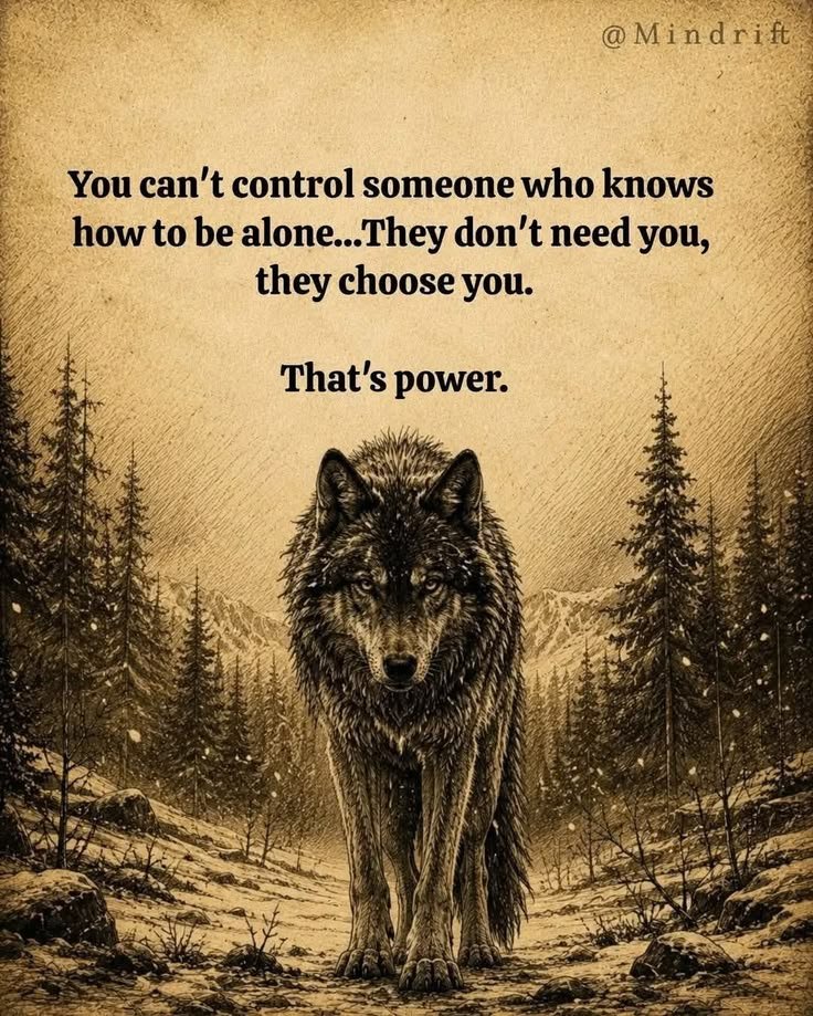 wolf_loverstown's tweet photo. https://t.co/M9GyX9IPyZ