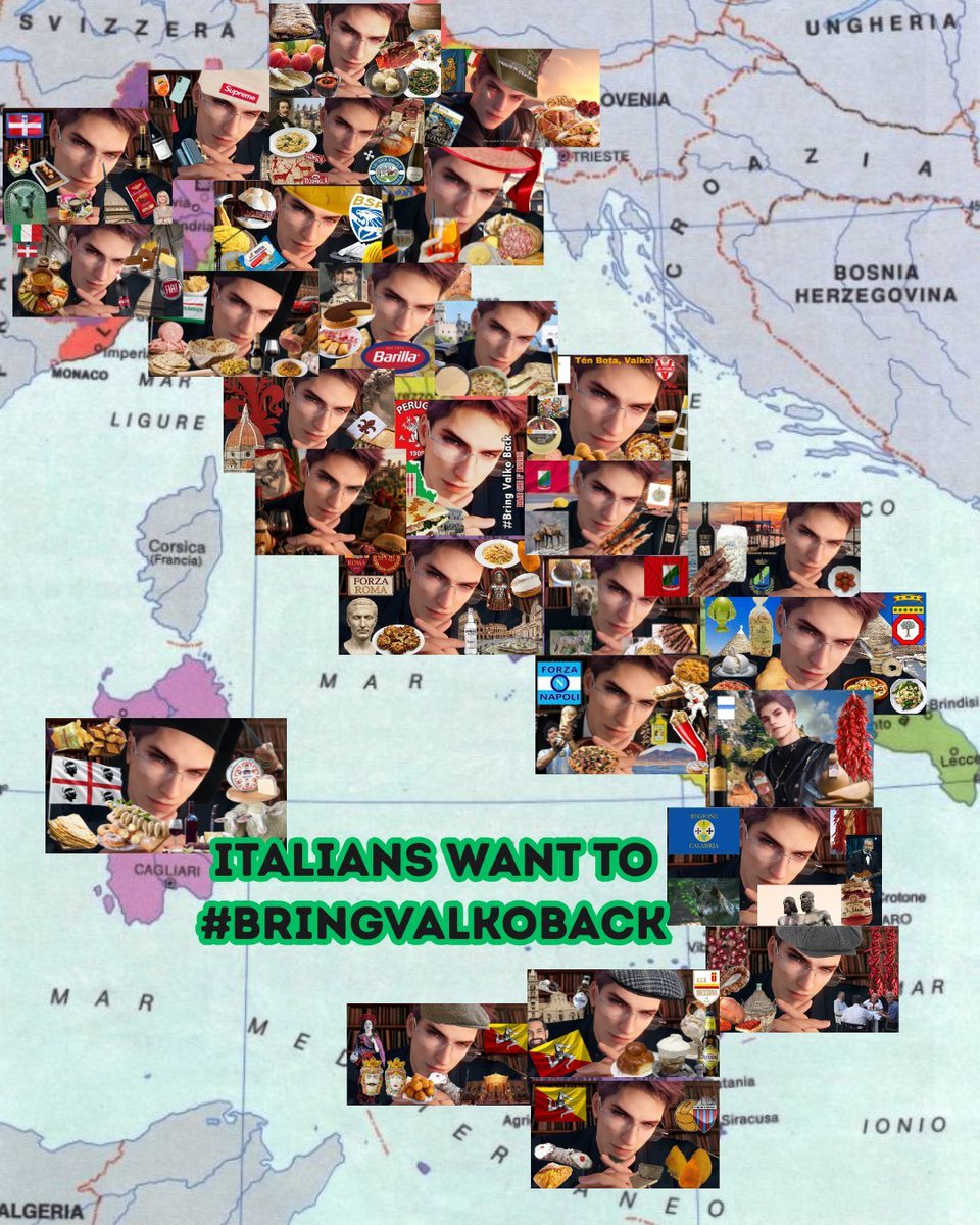 elillyDehLaSer's tweet photo. The First time Italy agreed on something 💚🐺

#BringValkoBack #ValkoIsLoved https://t.co/ksEcwk4uYz