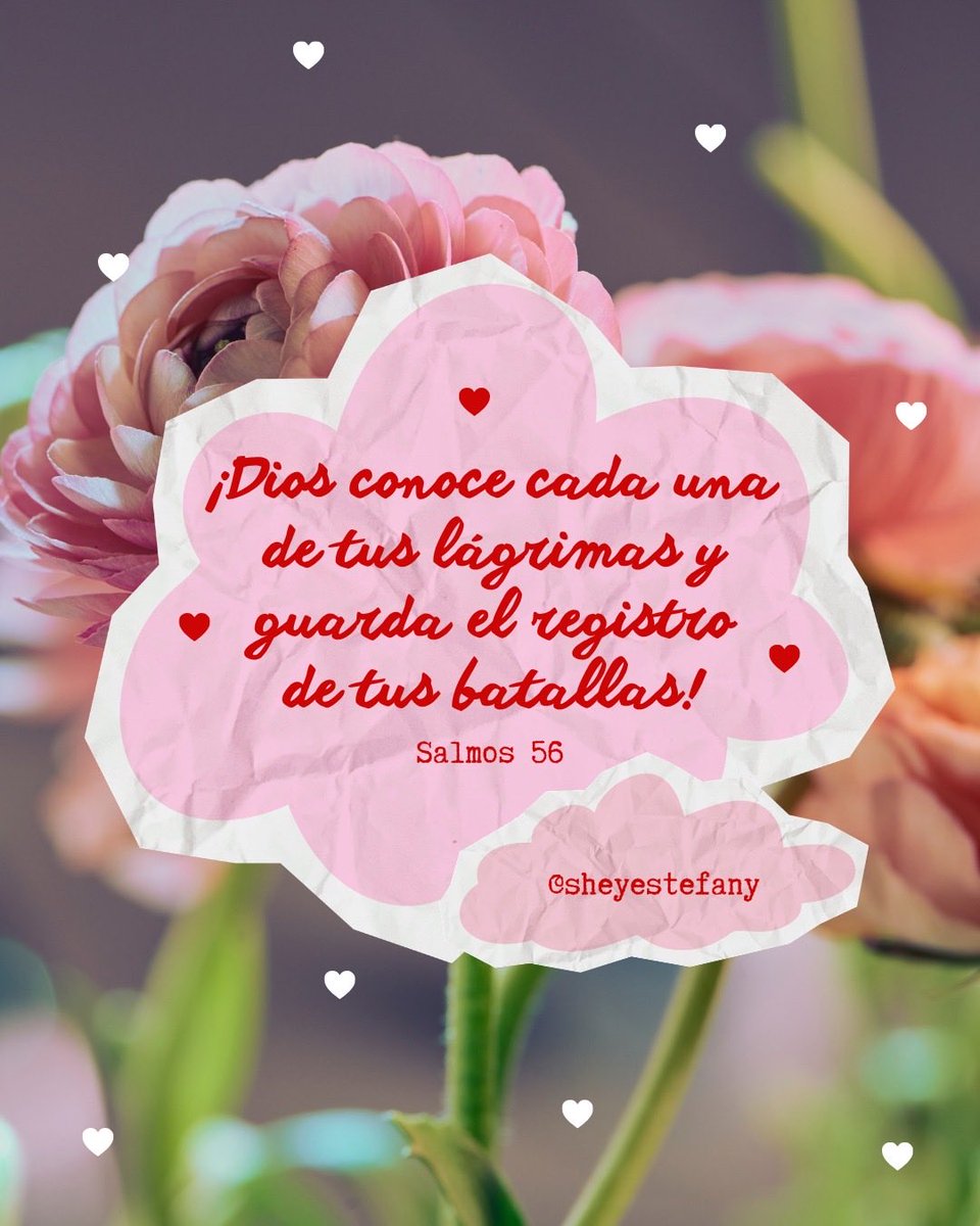 SheyEstefany's tweet photo. 📚Salmos 56

✨ ¡Hoy caminas bajo la luz de la vida! 

#escudo #promesas #refugio #sinmiedo #limites https://t.co/9shyEsrQvR