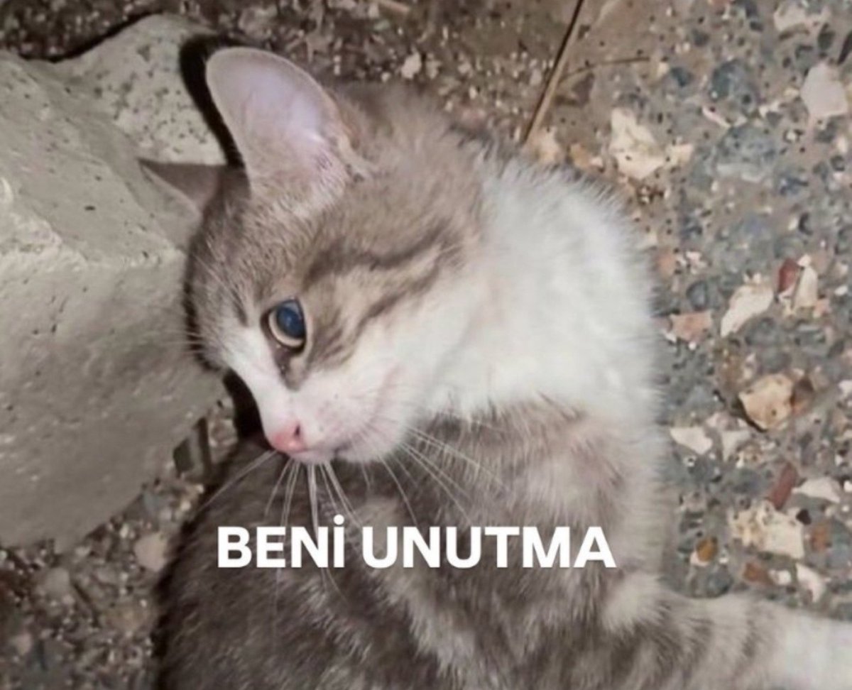 astralistr's tweet photo. Miniğide unuttunuz dimi? Sadece aç karnını doyurmak istemişti akıl almaz işkencelere maruz kaldı ve aç öldü
@EmniyetGM 
#miniğiunutma https://t.co/fBhofu5CVI