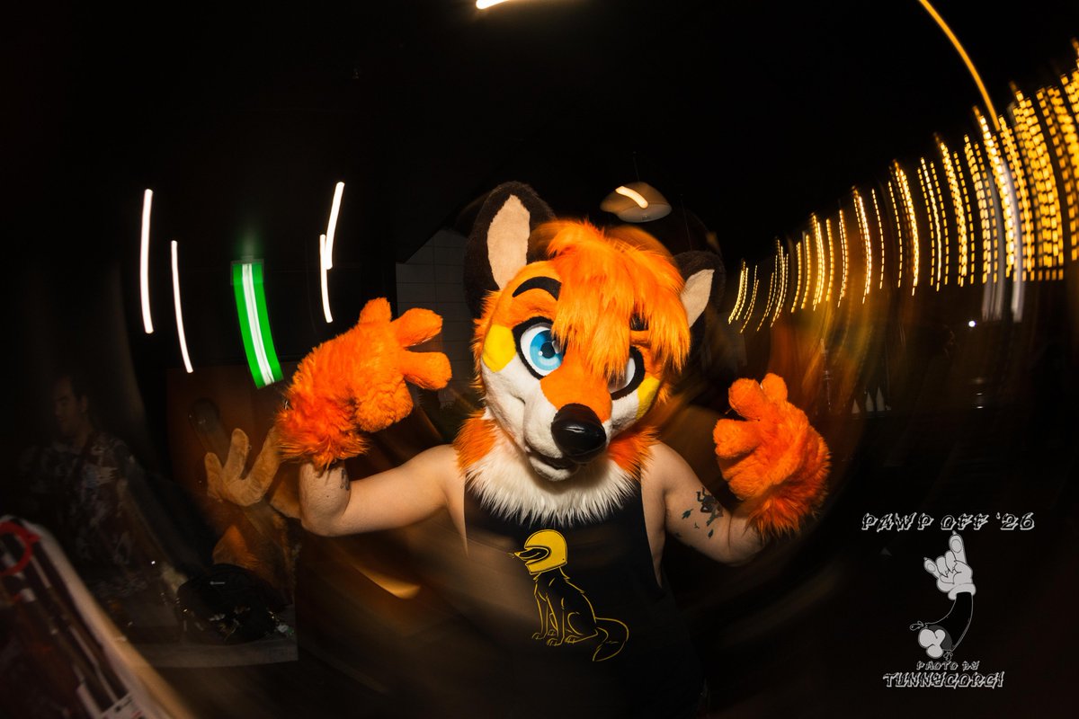 HamburgerFox's tweet photo. I'm a party animal on the dance floor so long as the DJ set is banging and there's sick vibes! 🦊
Catch me dancing there in the front for hours if I can make it! 🕺

🐶📸: @TunnyCorgi

#fursuitfriday #furryfandom #furryrave #furry #fursuit https://t.co/RQ2X3MyYNB