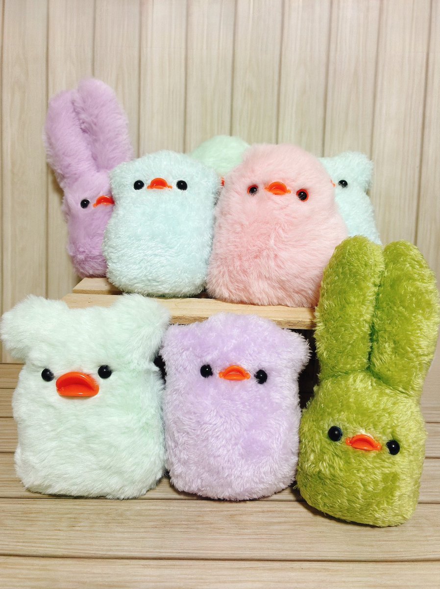 chiguhaguzakka's tweet photo. #みんにゃでシェア8
#ニャンフェス24
#アニマーレ2

今回初めてアニマーレに出展します！

🐕日付：10/11（日）
🐕ブース：E49.50
🐕名前：ちぐはぐ雑貨店

動物のぬいぐるみや雑貨などを制作しています。
ぜひ遊びにいらしてください🐱✨ https://t.co/XYKcbQ2EgR