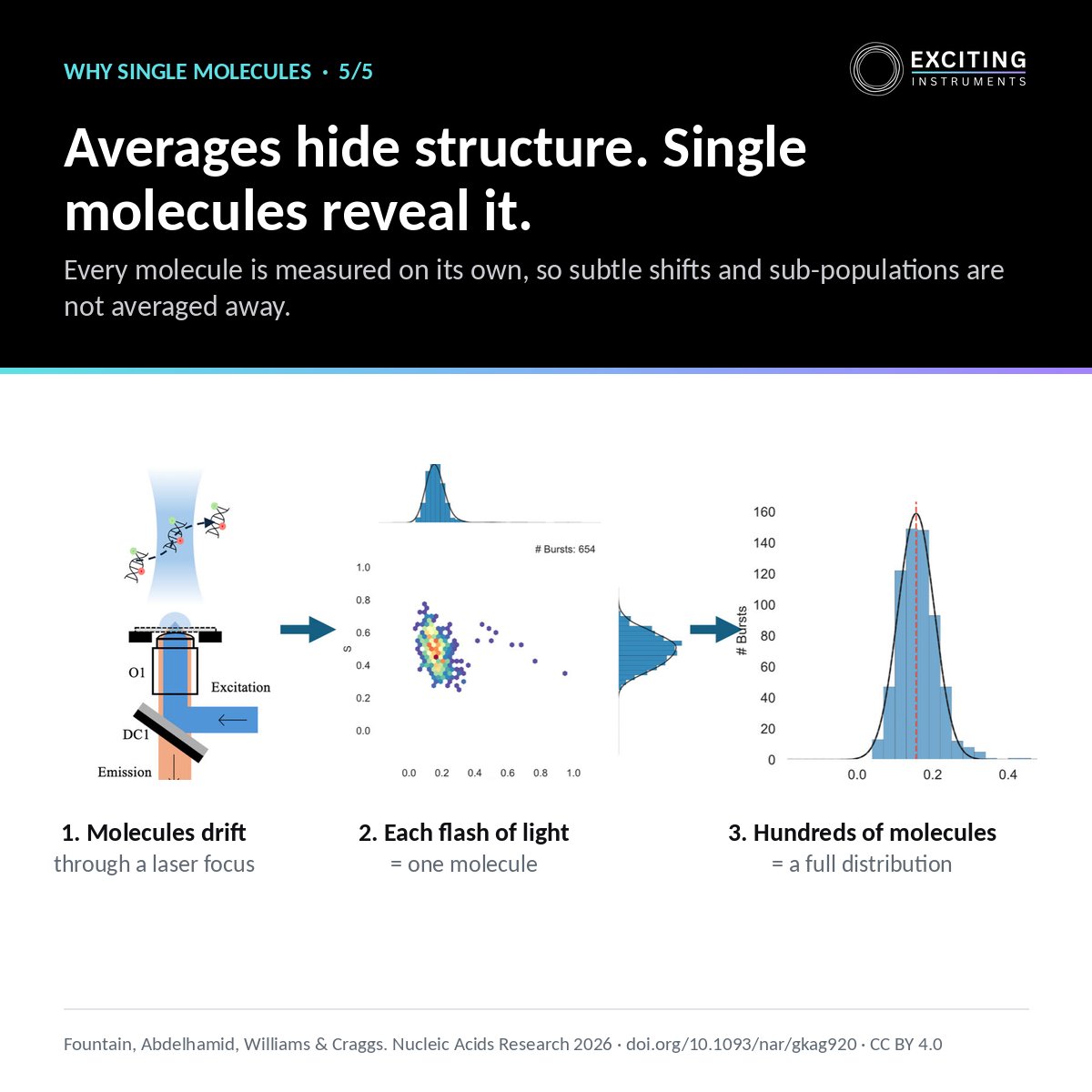 Craggs_Lab's tweet photo. Why smFRET?
Bulk methods average billions of molecules and blur small changes.
smFRET measures each one, so a single-oxygen shift shows up.
We put this on the benchtop with EI-FLEX Pro. Talk to us: https://t.co/z16sxeljpi
5/5 #smFRET #DNArepair https://t.co/xcynZrkkYA