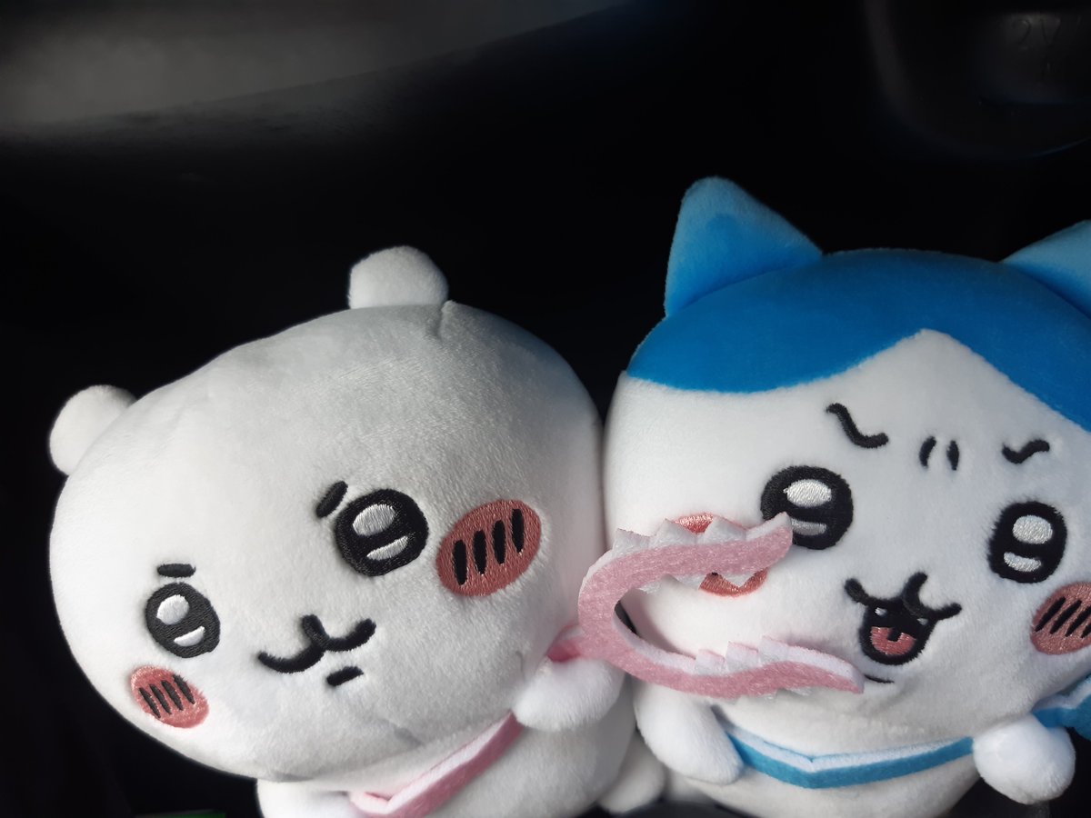 rackpot1373's tweet photo. ヤーー！ https://t.co/T8w1VLWHl8