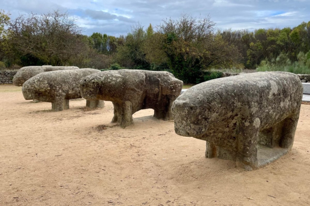 ivanfamil's tweet photo. En el siglo II a.C., una tribu de guerreros celtas esculpió cuatro bestias de granito en una colina de Ávila. Siglos después, ante sus lomos de piedra se decidió el destino de España, América y el mundo. Son los Toros de Guisando. Tira del hilo 🧵👇🏽👇🏽👇🏽 https://t.co/oFbR5UK87A