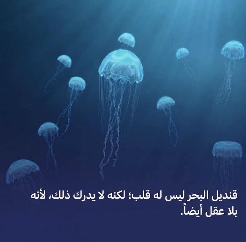 MHMU0D's tweet photo. ابن المحظوظة https://t.co/CHSL06Usiy