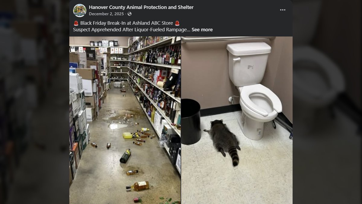 HanoverVa's tweet photo. Hanover County's viral "Trashed Panda" earned himself a top prize for Best Use of Social Media - Single Post, at 3CMA's 2026 Savvy Awards! 

You can still shop the collection, plus holiday-themed merchandise. here  ➡️ https://t.co/ZxJrmIooiY.

#HanoverVA #TeamHanover https://t.co/OPfGrm3411