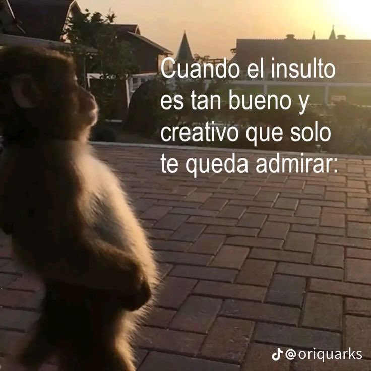 raiinloverr's tweet photo. https://t.co/AUfeLoYpsW